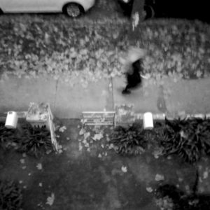 Anna Garcia Fire Escape